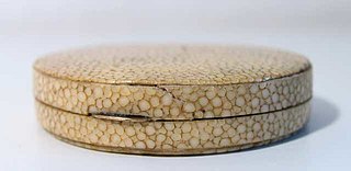 <span class="mw-page-title-main">Shagreen</span>