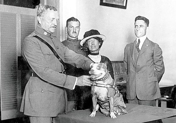 Gen. John Pershing awards Sergeant Stubby with a medal from the Humane Education Society at a White House ceremony, 1921