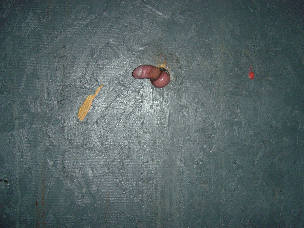 File:Glory hole dick.jpg - Wikimedia Commons