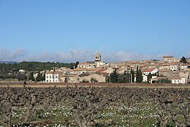 La Laviniere seen from a vineyard