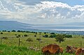 Golan Hights Blick von den Golanhöhen auf den See Genezareth 2.JPG