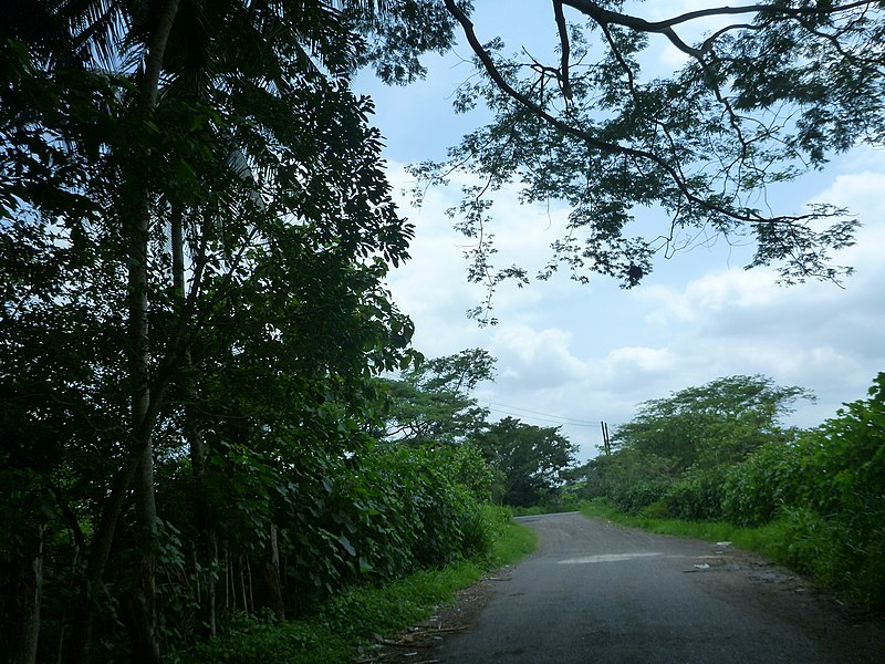 File:Guatemala Department, Guatemala - panoramio (7).jpg