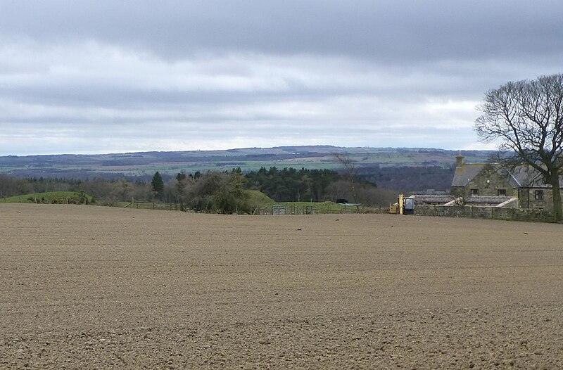 File:Harrowed field at Overgrass farm - geograph.org.uk - 3427315.jpg