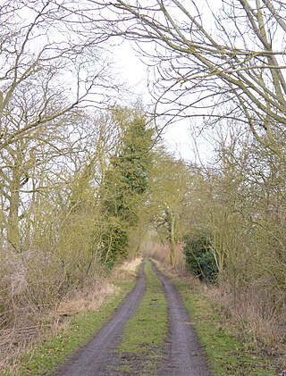 <span class="mw-page-title-main">Hayley Wood</span> Nature reserve in the United Kingdom