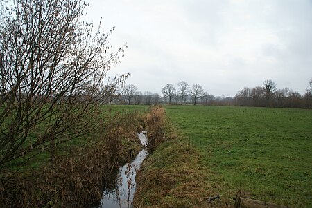 Heensteed Wischbek Wohldweg2