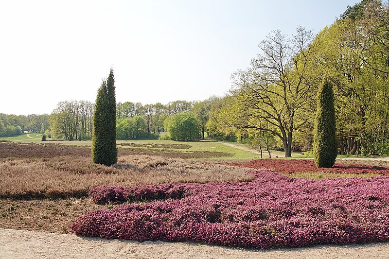 File:Heidegarten Schneverdingen IMG 6054.jpg