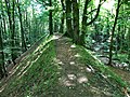 Nordwall der Herthaburg im Nationalpark Jasmund