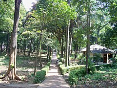 Hutan Taman kota - panoramio.jpg