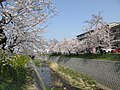 2019年4月14日 (日) 07:20時点における版のサムネイル