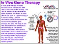 Schema della terapia genica In vivo