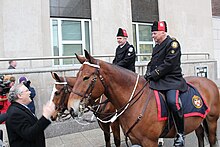 Police horses Ed and Spencer at the U.S. Consulate in Toronto. Both horses were invited to take part in the First inauguration of Barack Obama. Inauguration horses visit Toronto Consulate (8380008721).jpg