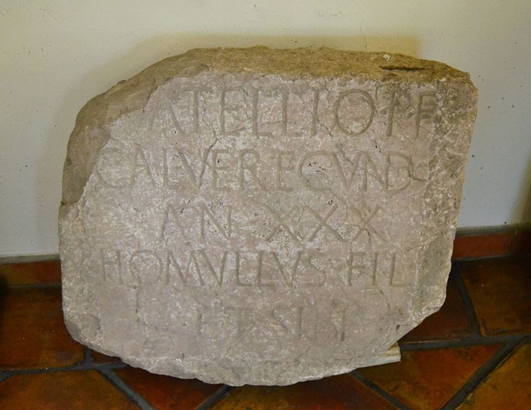 File:Inscripció romana al Museu Arqueològic d'Oliva.JPG