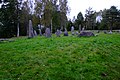 Rock settings at Istrehågan resemble a ship.[117][118]