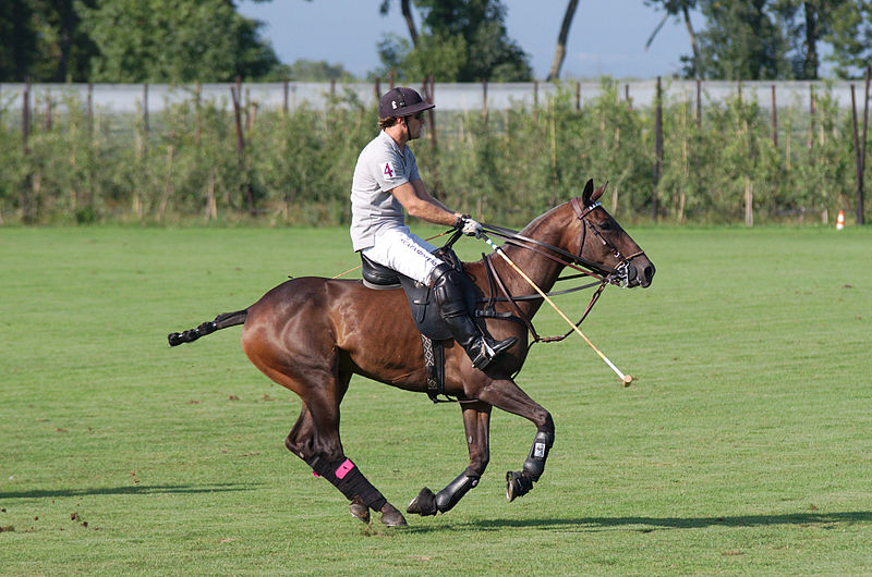 File:Jaeger-LeCoultre Polo Masters 2013 - 31082013 - Match Lynx Energy vs Legacy 6.jpg