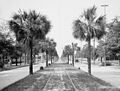 Main Street Jacksonville in 1903