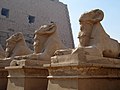 * Nomination: Sphinxes at the Temple of Karnak in Luxor, Egypt. --Oltau 17:38, 30 December 2010 (UTC) * * Review needed