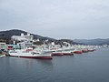 Pelabuhan Kesennuma