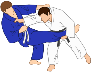 <span class="mw-page-title-main">Kibisu gaeshi</span> Judo technique