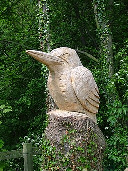 Kingfisher - geograph.org.uk - 11961