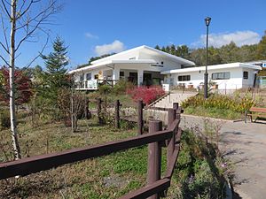 Kiyosato Station Building.jpg