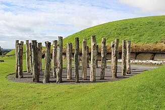 Knowth Timber Circle