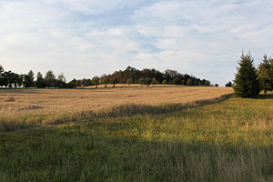 View from Hauswalde