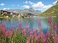 Le lac de Tignes, d'une profondeur de 45 mètres.