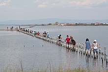 birdokonservaj klopodoj ĉe Lago Pomorie