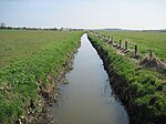 Lambwath Stream