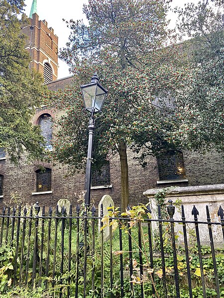 File:Lamp post at St John-at-Hampstead, November 2021.jpg