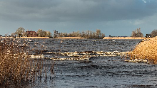 "Langweerderwielen-Langwarder_Wielen._Storm_Ciara._11-02-2020._(d.j.b)_10.jpg" by User:Famberhorst