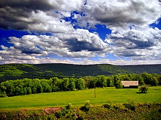 <span class="mw-page-title-main">Laporte Township, Sullivan County, Pennsylvania</span> Township in Pennsylvania, United States