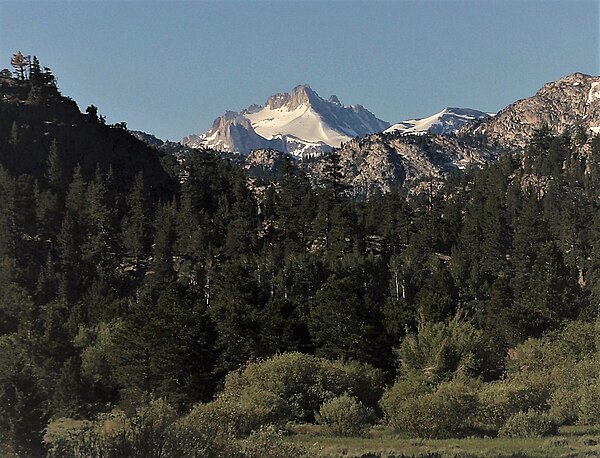 Tower Peak from Leavitt Meadow Leavitt Meadow.jpg