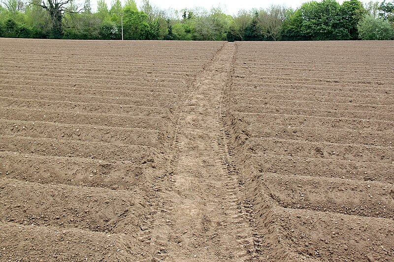 File:Leicestershire Round near Claybrooke Mill - geograph.org.uk - 4956213.jpg