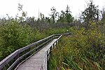 Leitrim Wetlands