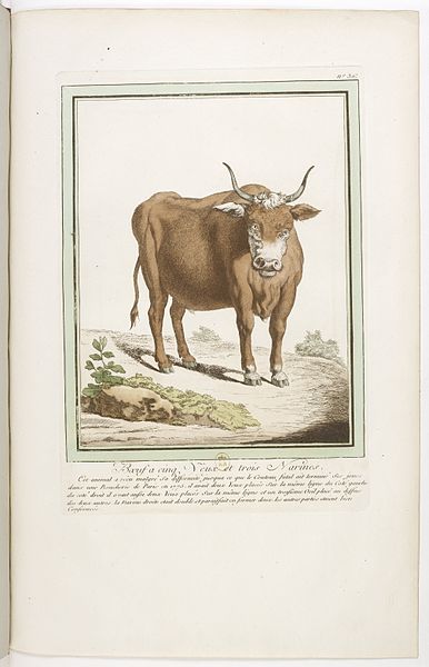 File:Les écarts de la nature page43.jpg