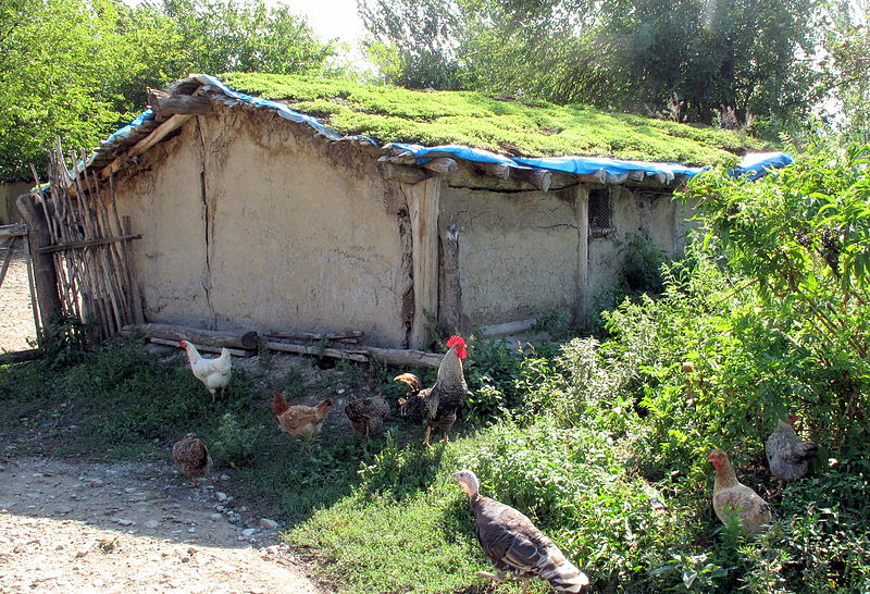 File:Living Roof (3847029896).jpg