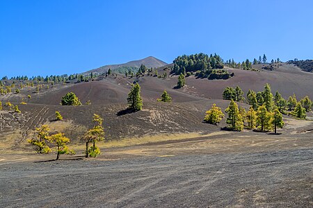 Llano del Jable with Pico Birigoyo La Palma