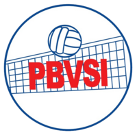 Logo pbvsi-1.png