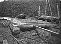 Logs being hauled on corduroy road at lumber operation, Washington, ca 1909-1910 (INDOCC 1413).jpg