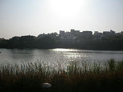 Keinotekoinen Lotus Pond