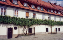 The more-than-400-year-old Zametovka vine growing outside the Old Vine House in Maribor. To the right of the vine is a daughter vine taken from a cutting of the old vine. Maribor Zametovka vine and daughter.png