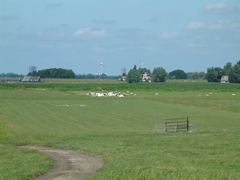 File:Meerpolder vanaf het Meerpad (10).JPG