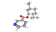 Ball and stick model of menthyl nicotinate molecule