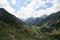 Down into Mineral King Valley, Sequoia Nat Park