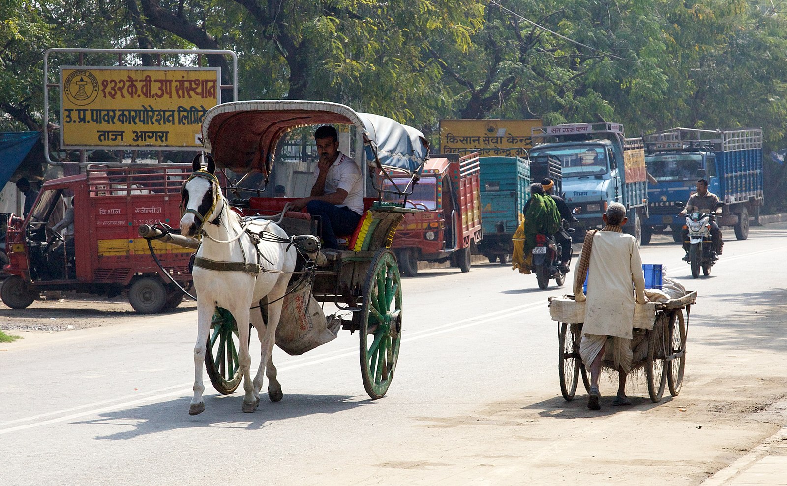 Different modes of road transport, on a road in India