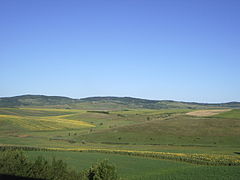 La plaine méridionale.