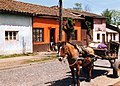 Carro tradicional en Molina, Región del Maule