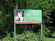Monkey-Jungle-Attraction-Miami.jpg