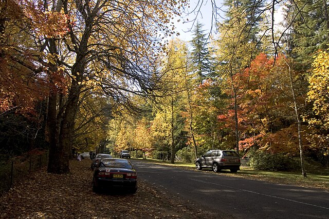 Autumn at Mount Wilson.